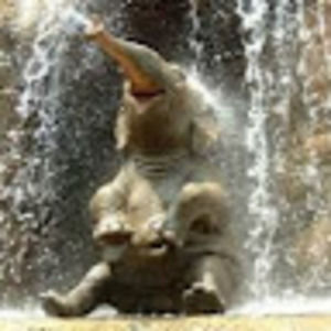 Meet your Posher, Arjun